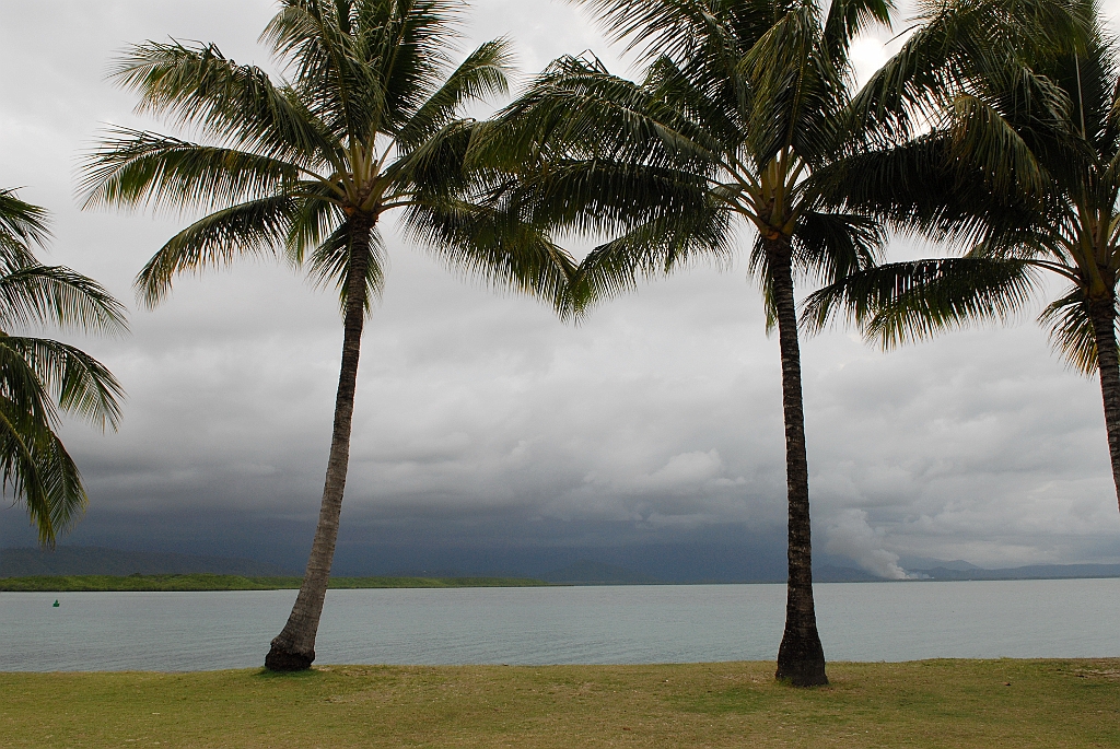 0831 Port Douglas.jpg